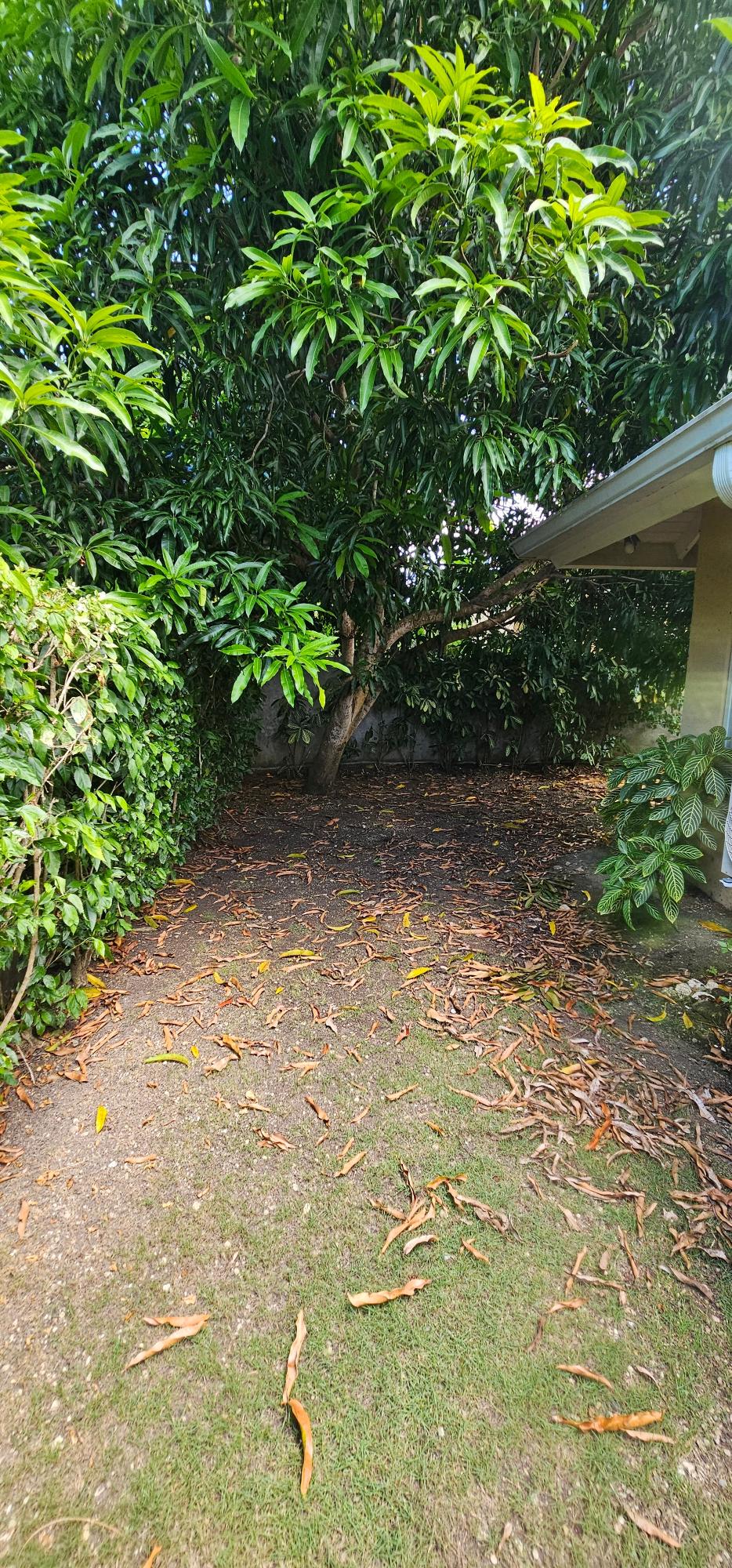 Sixteenth image of 449 Coolshade in St. Ann's Bay, St. Ann, Jamaica - property is For Sale