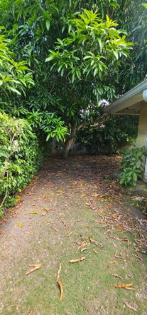 Sixteenth image of 449 Coolshade in St. Ann's Bay, St. Ann, Jamaica - property is For Sale