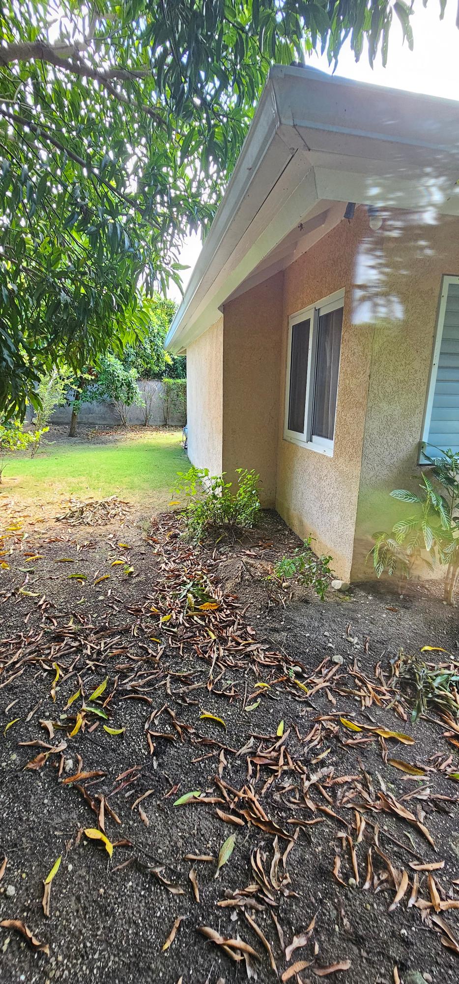 Seventeenth image of 449 Coolshade in St. Ann's Bay, St. Ann, Jamaica - property is For Sale