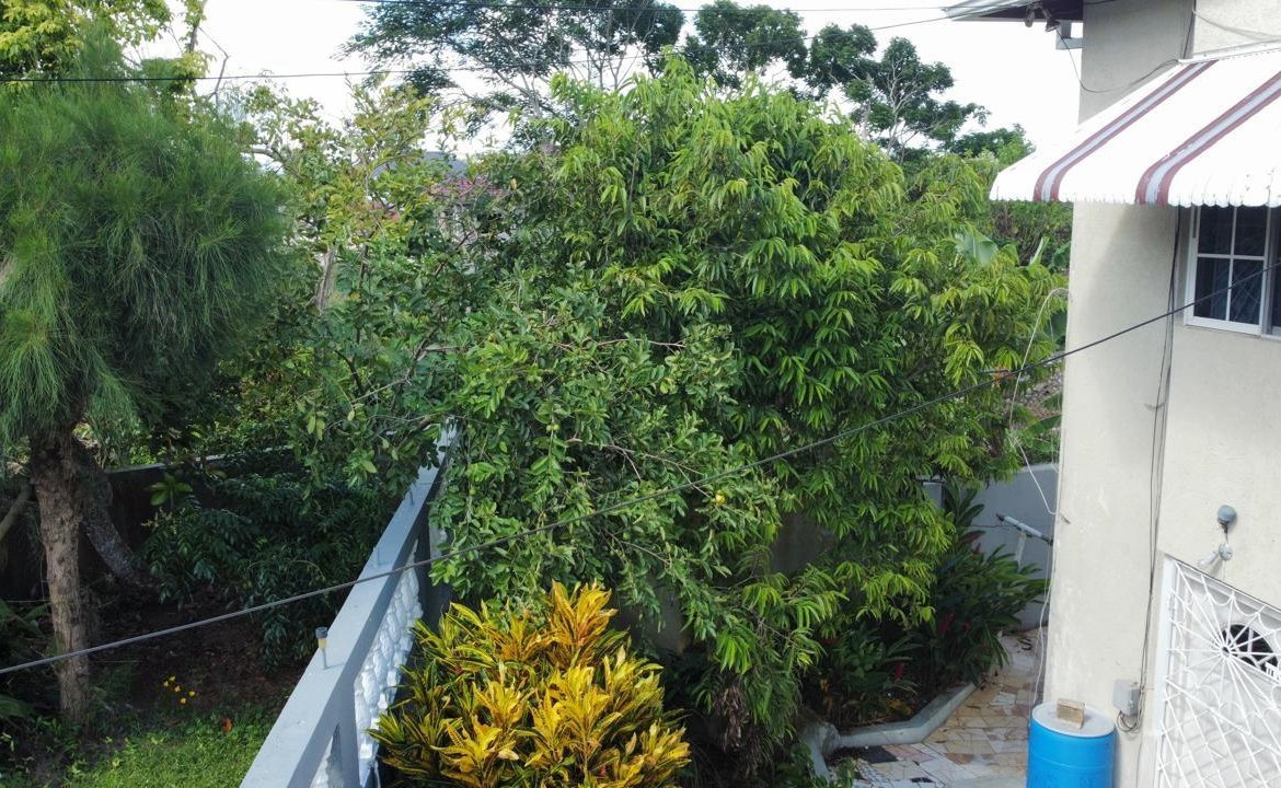 Seventeenth image of Lot 78 Lynwood Close, Fai in Mandeville, Manchester, Jamaica - property is For Sale