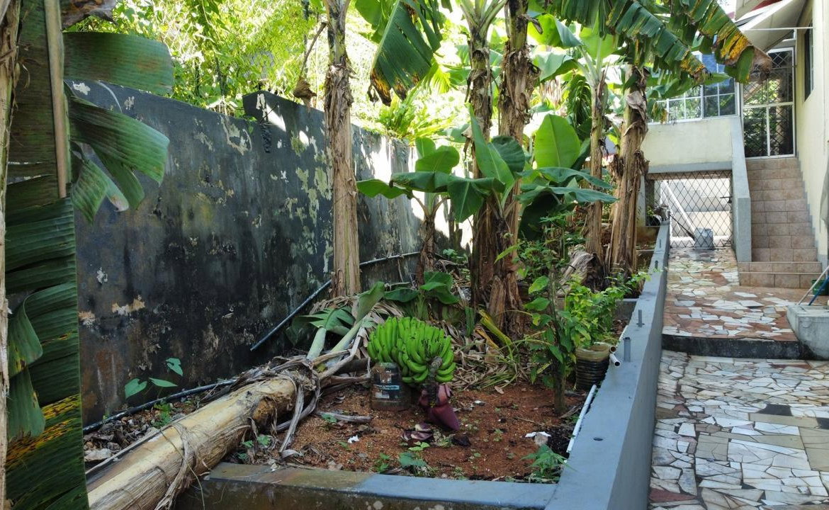 Tenth image of Lot 78 Lynwood Close, Fai in Mandeville, Manchester, Jamaica - property is For Sale