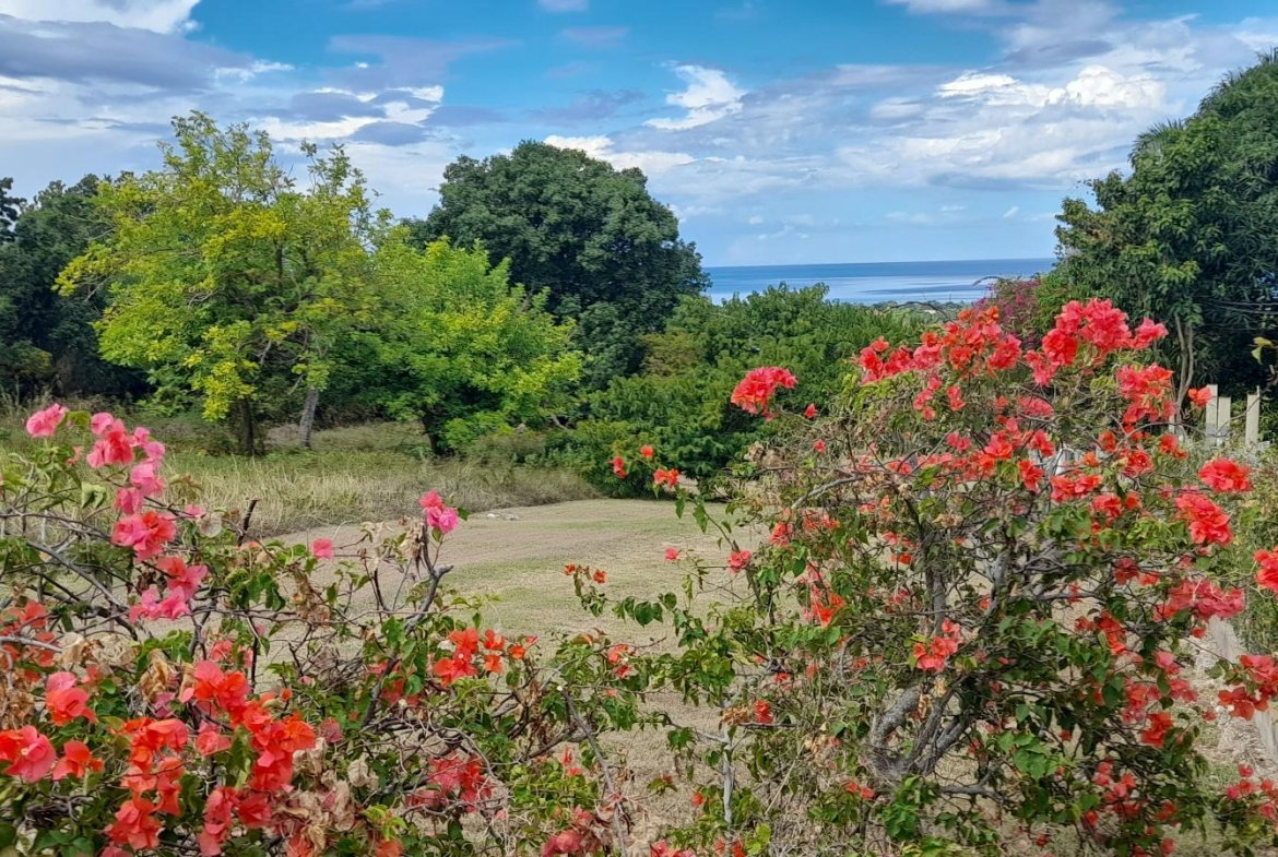 Twenty-Sixth image of Beverly Runaway Bay in Runaway Bay, St. Ann, Jamaica - property is For Sale