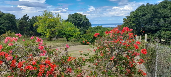 Twenty-Sixth image of Beverly Runaway Bay in Runaway Bay, St. Ann, Jamaica - property is For Sale