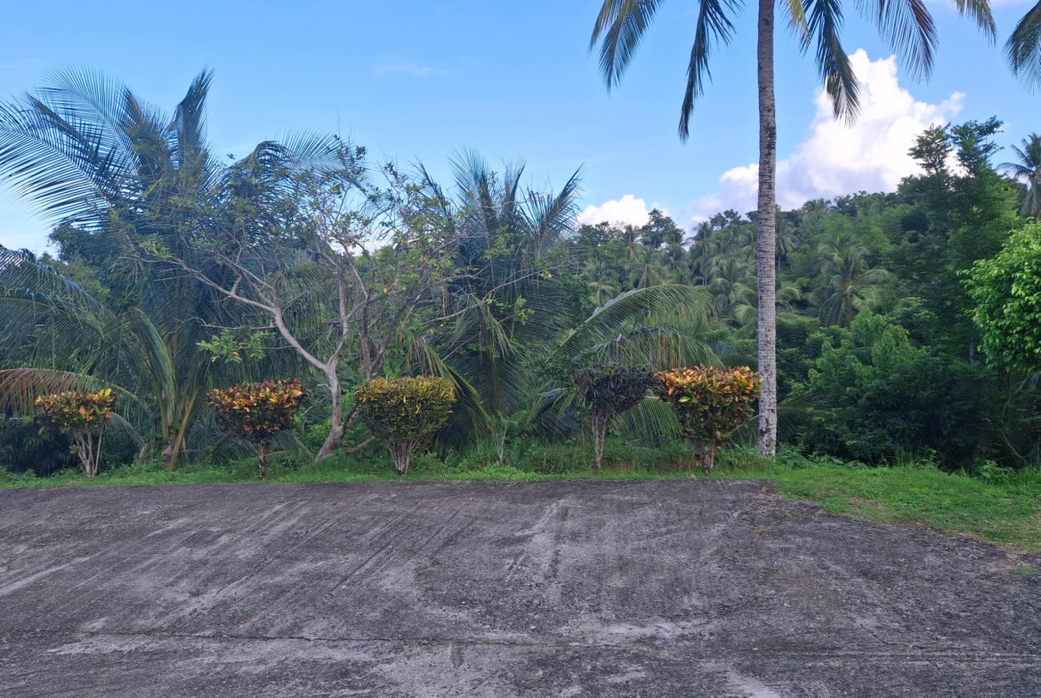 Nineteenth image of St. Margret's Bay in St. Margaret's Bay, Portland, Jamaica - property is For Sale