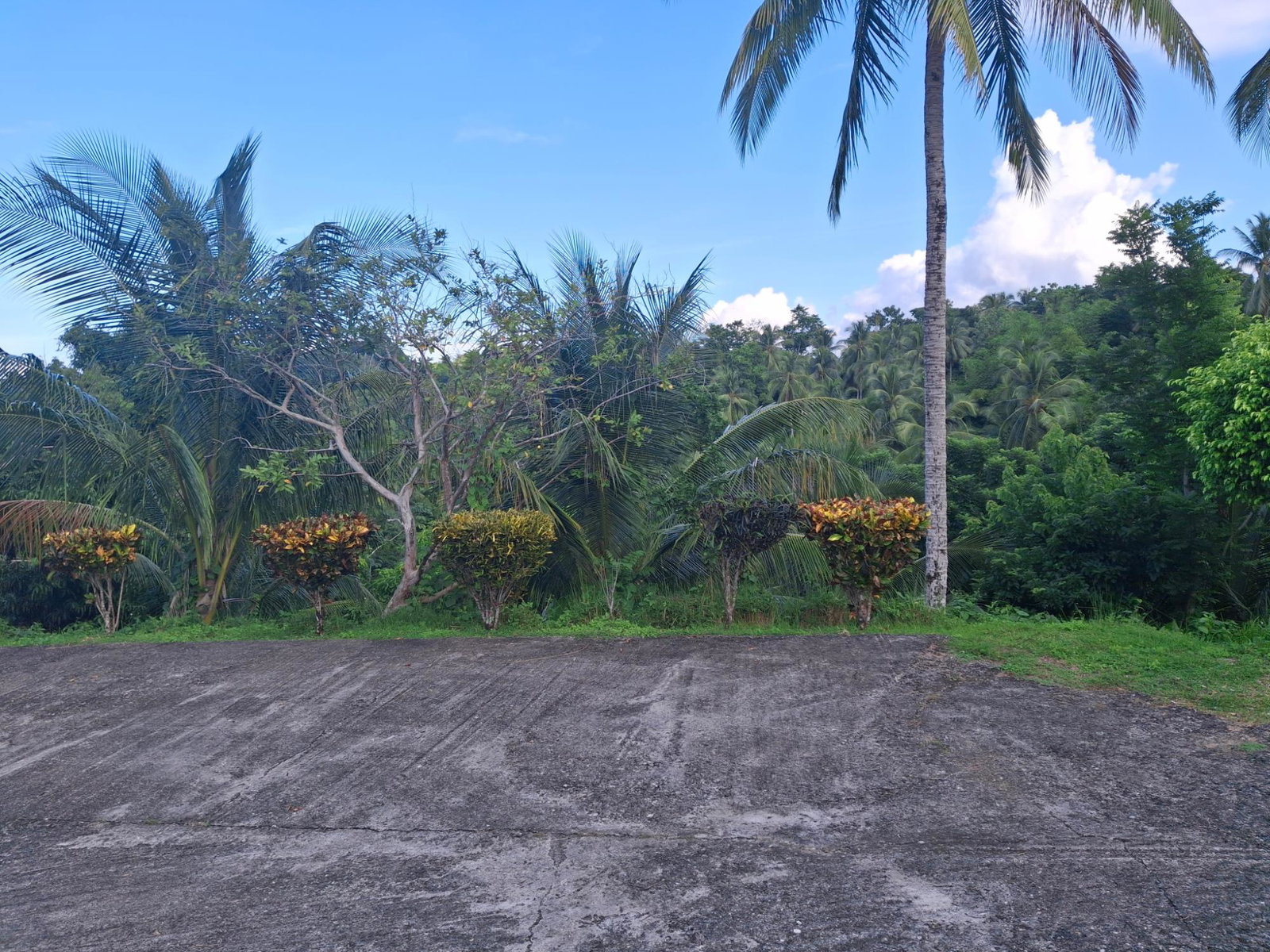 Twenty-Fifth image of St. Margret's Bay in Hope Bay, Portland, Jamaica - property is For Sale
