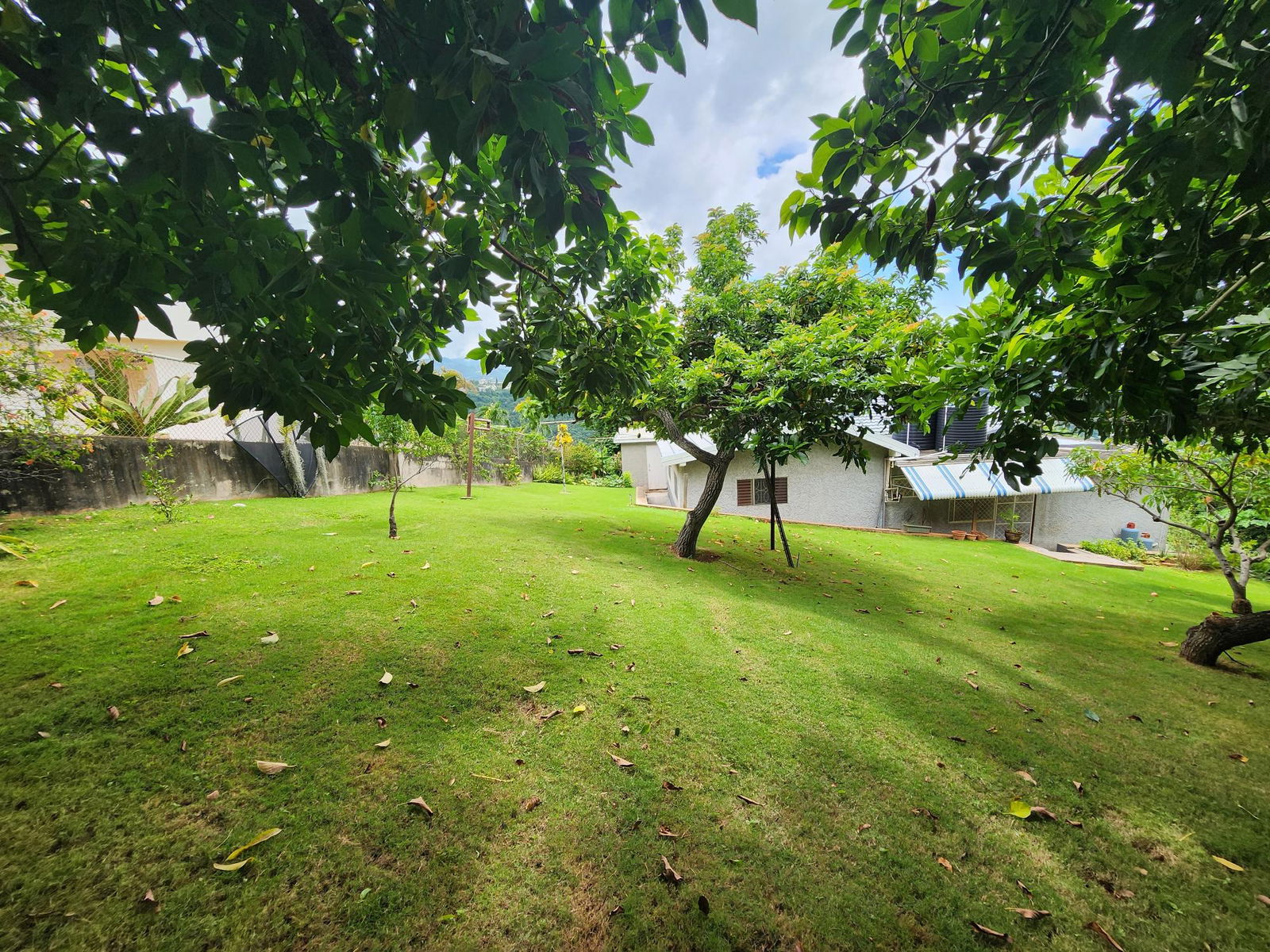 Thirtieth image of 23 Westmead Road, Belgrade h in Kingston 19, St. Andrew, Jamaica - property is For Sale