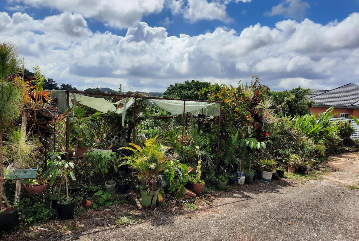 Eleventh image of 16-1 Hillcrest Avenue in Mandeville, Manchester, Jamaica - property is For Sale