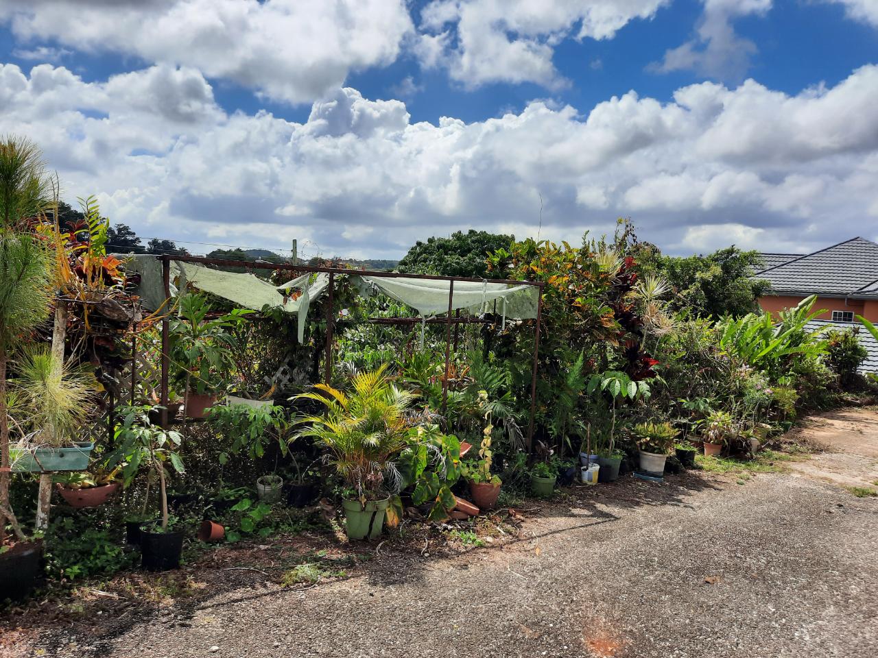 Eleventh image of 16-1 Hillcrest Avenue in Mandeville, Manchester, Jamaica - property is For Sale