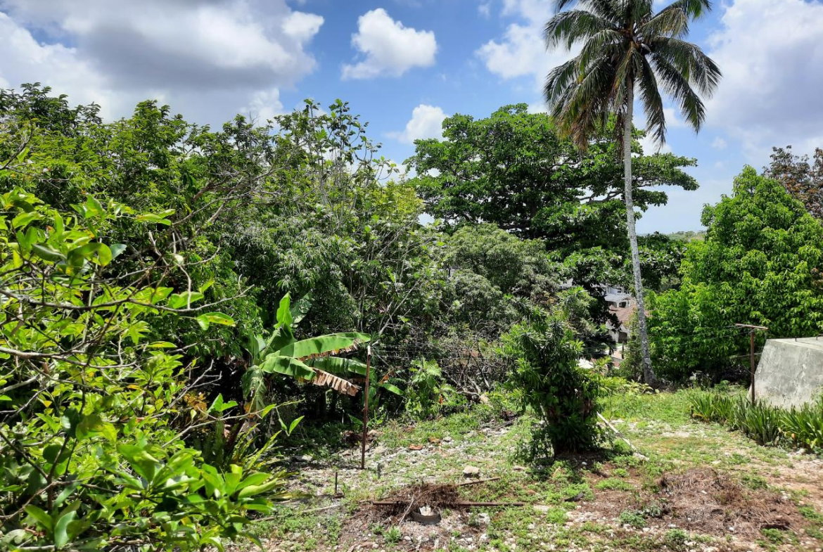 Twelfth image of 16-1 Hillcrest Avenue in Mandeville, Manchester, Jamaica - property is For Sale