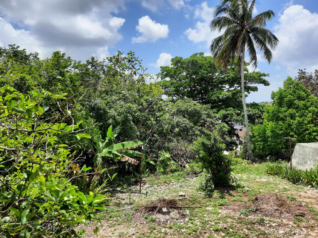 Twelfth image of 16-1 Hillcrest Avenue in Mandeville, Manchester, Jamaica - property is For Sale