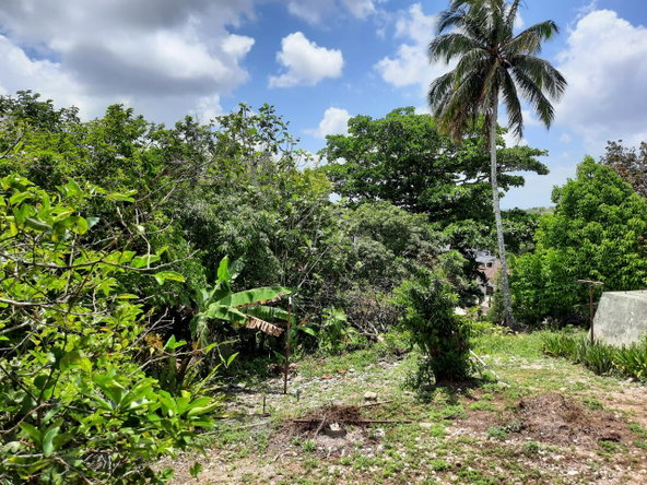 Twelfth image of 16-1 Hillcrest Avenue in Mandeville, Manchester, Jamaica - property is For Sale