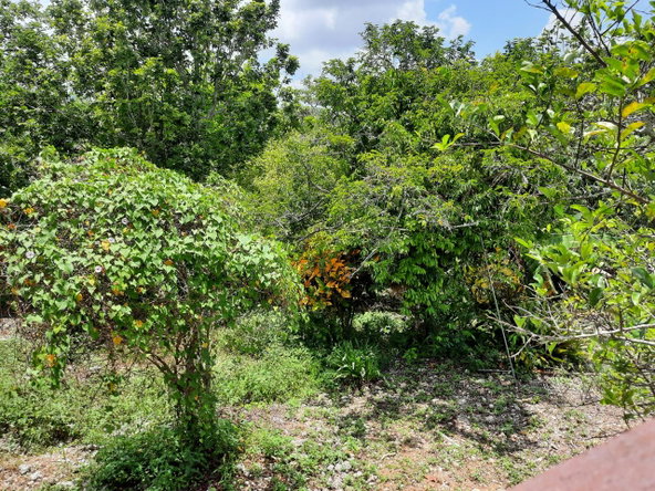 Thirteenth image of 16-1 Hillcrest Avenue in Mandeville, Manchester, Jamaica - property is For Sale