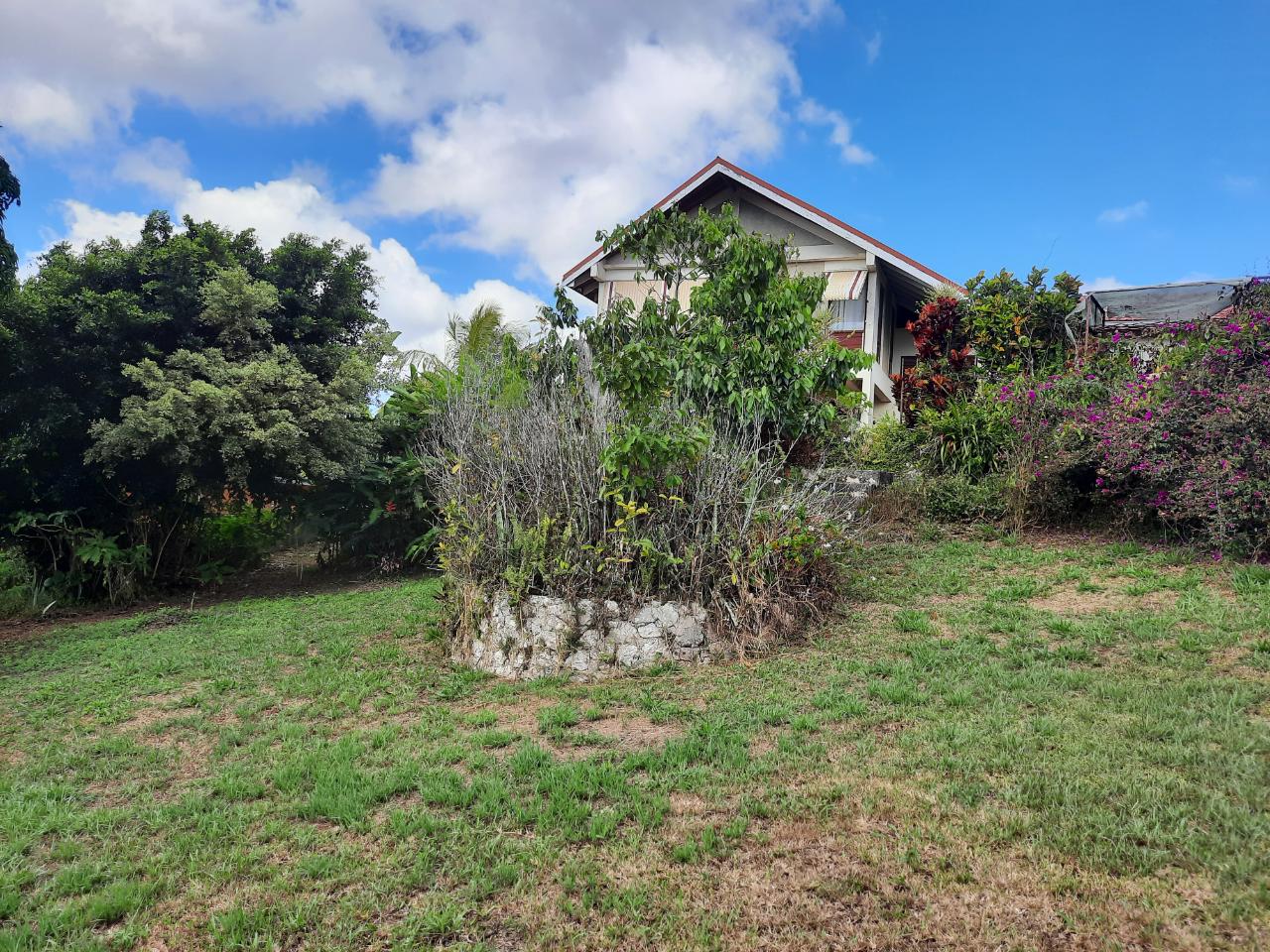 Fourth image of 16-1 Hillcrest Avenue in Mandeville, Manchester, Jamaica - property is For Sale