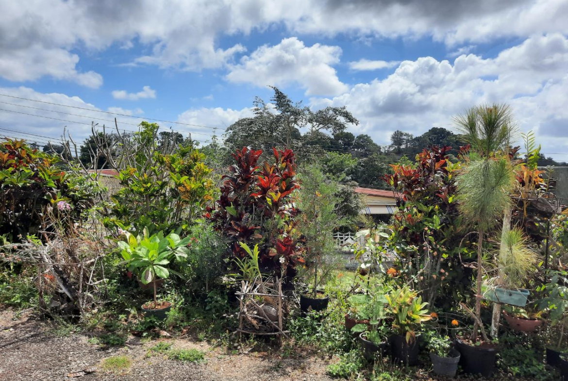 Eighth image of 16-1 Hillcrest Avenue in Mandeville, Manchester, Jamaica - property is For Sale