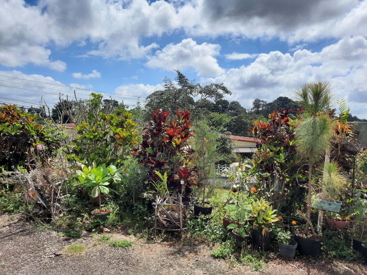 Eighth image of 16-1 Hillcrest Avenue in Mandeville, Manchester, Jamaica - property is For Sale