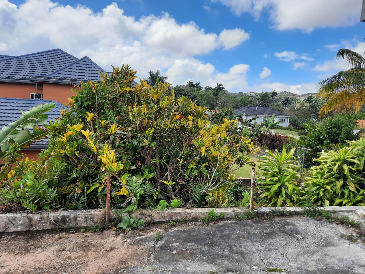 Ninth image of 16-1 Hillcrest Avenue in Mandeville, Manchester, Jamaica - property is For Sale