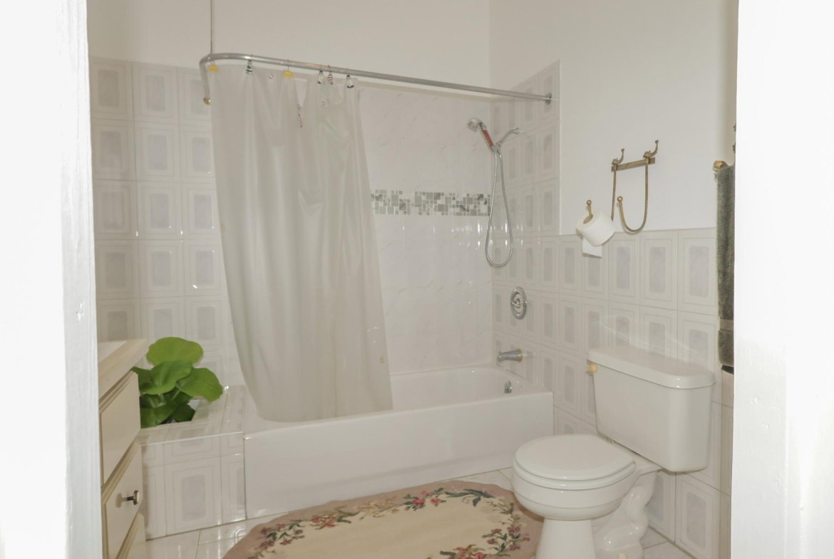 Thirtieth image of Spring And Elim in Sedburgh, Manchester, Jamaica - property is For Sale