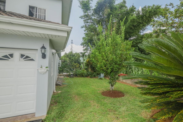 Seventh image of Spring And Elim in Sedburgh, Manchester, Jamaica - property is For Sale