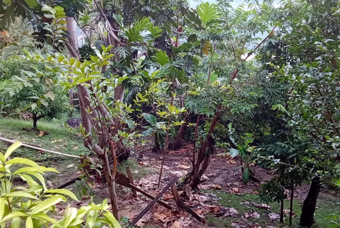 Eighteenth image of 20a East Mead in Kingston 19, St. Andrew, Jamaica - property is For Sale