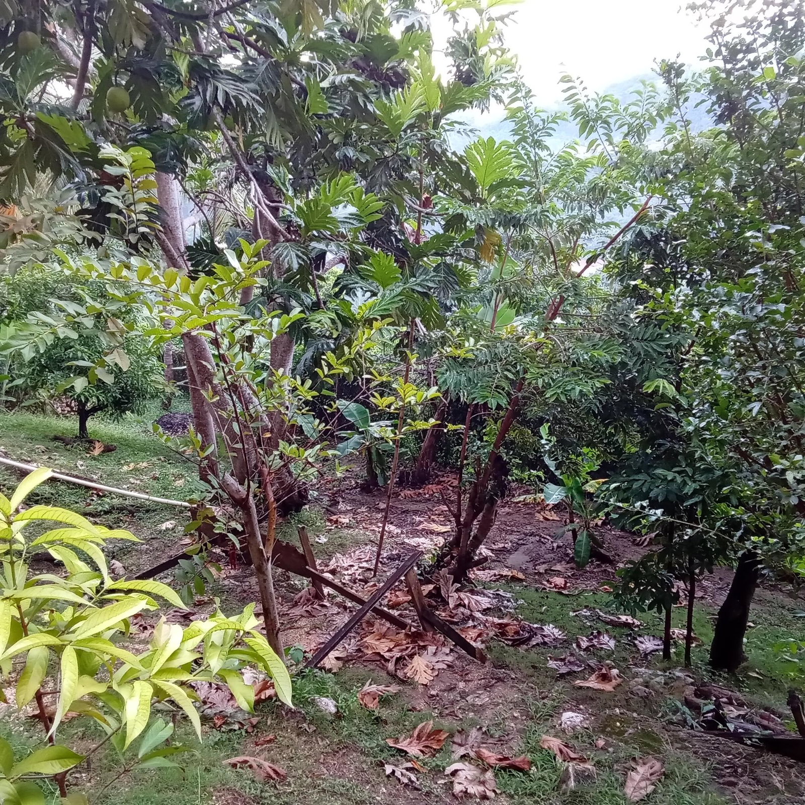 Eighteenth image of 20a East Mead in Kingston 19, St. Andrew, Jamaica - property is For Sale