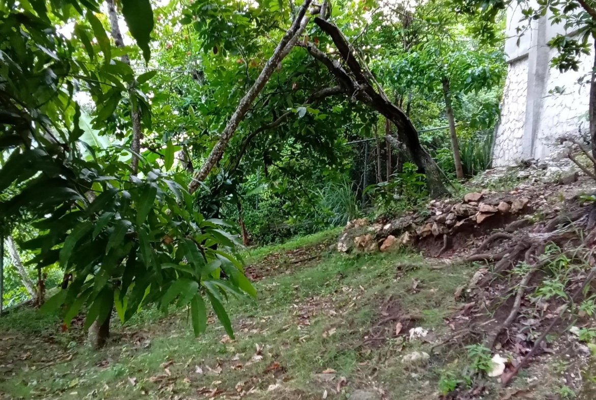 Nineteenth image of 20a East Mead in Kingston 19, St. Andrew, Jamaica - property is For Sale