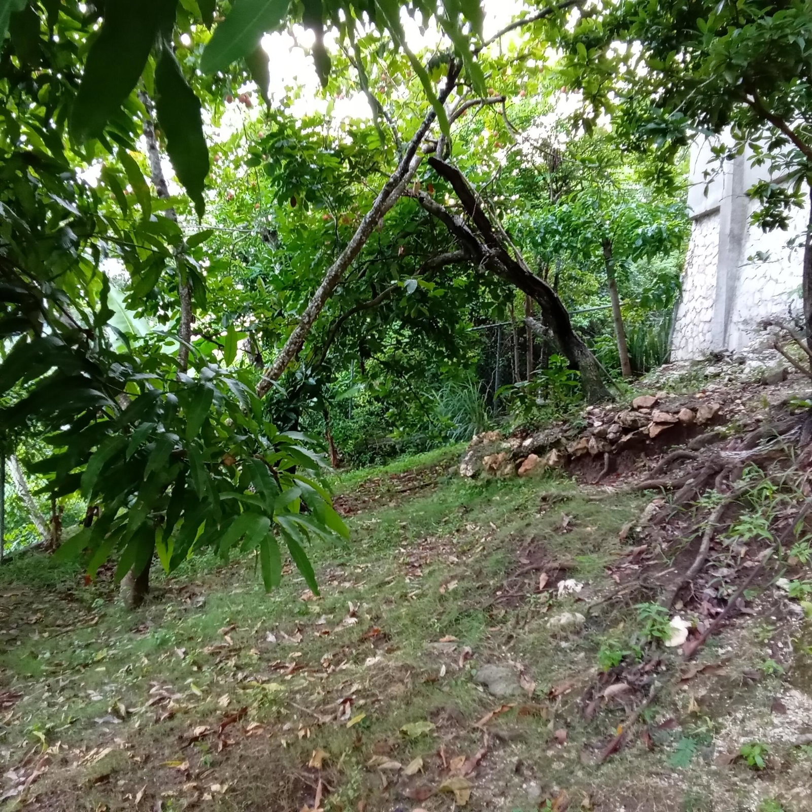 Nineteenth image of 20a East Mead in Kingston 19, St. Andrew, Jamaica - property is For Sale