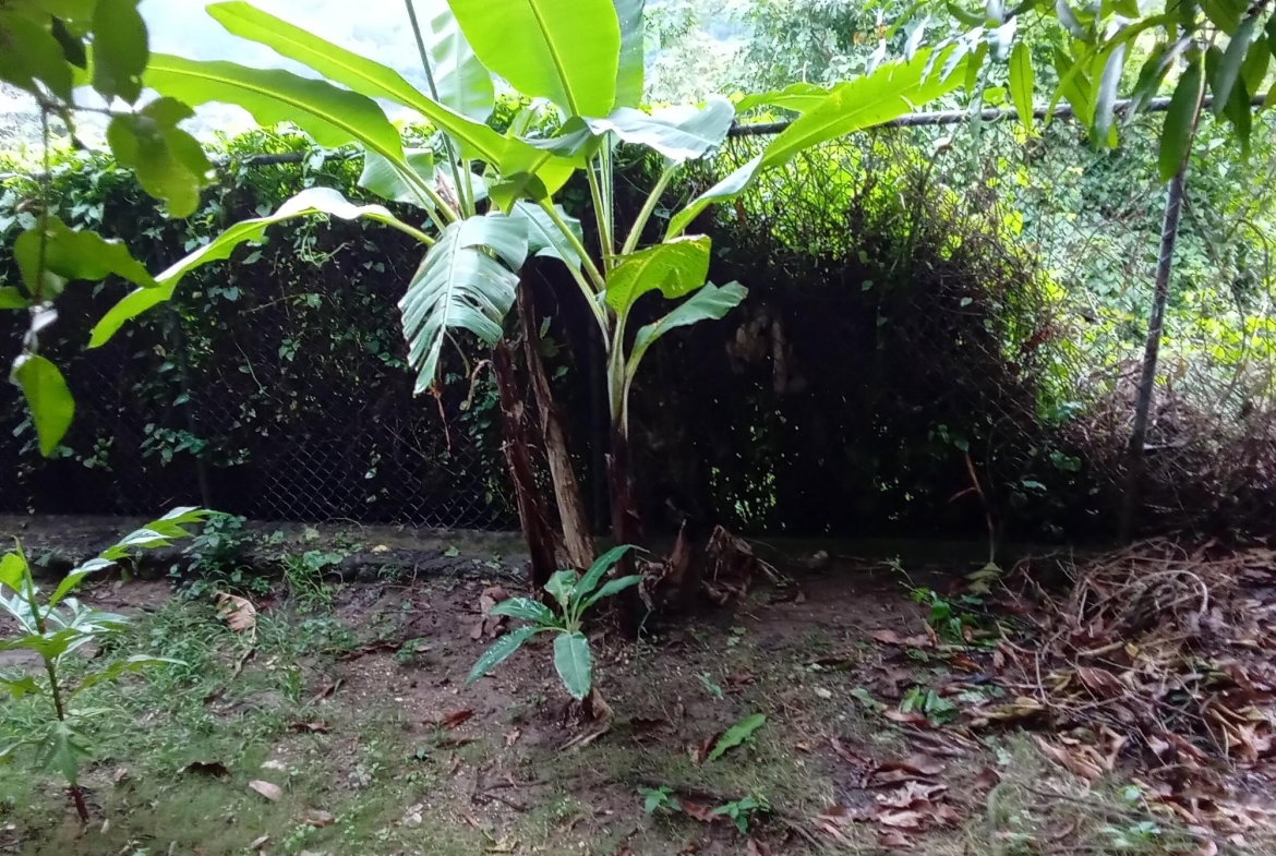 Twentieth image of 20a East Mead in Kingston 19, St. Andrew, Jamaica - property is For Sale