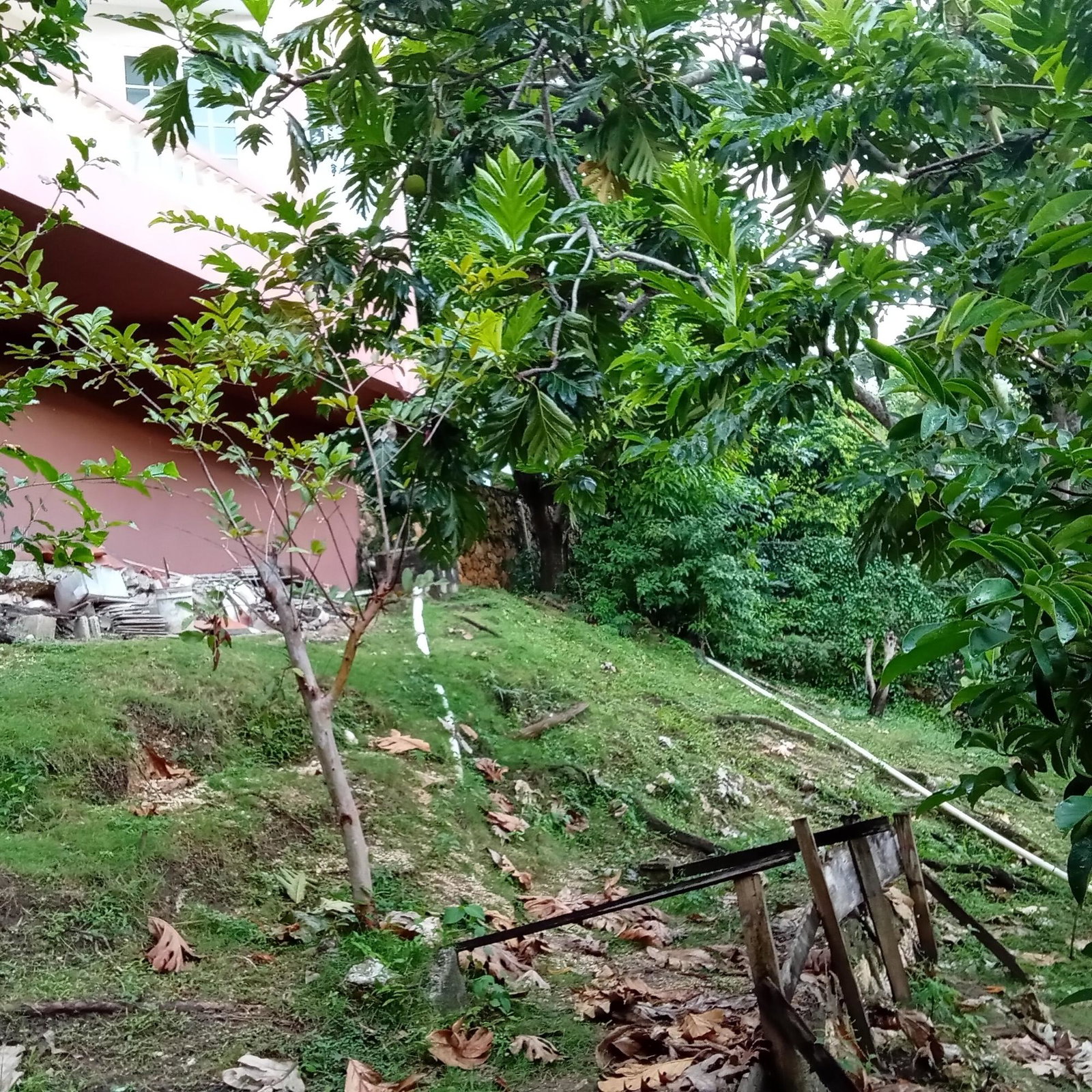 Twenty-First image of 20a East Mead in Kingston 19, St. Andrew, Jamaica - property is For Sale