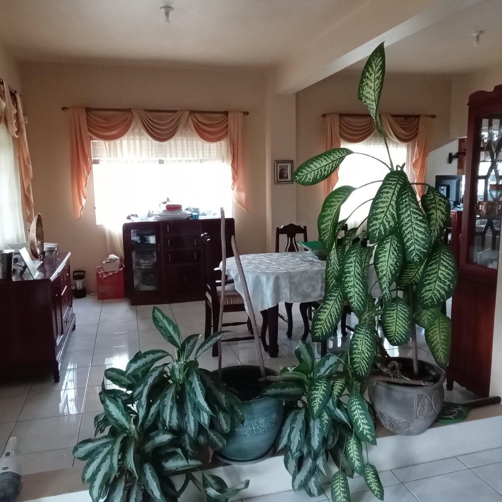 Twenty-Fourth image of 20a East Mead in Kingston 19, St. Andrew, Jamaica - property is For Sale