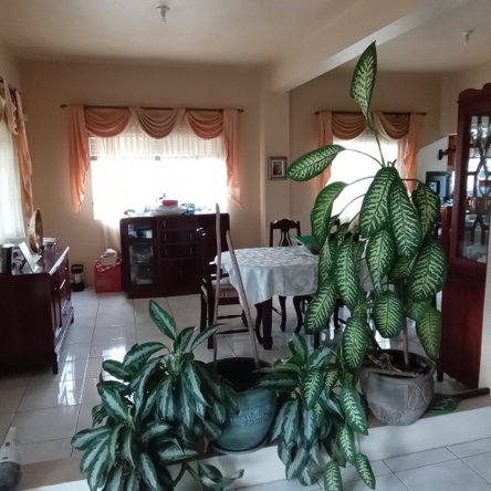 Twenty-Fourth image of 20a East Mead in Kingston 19, St. Andrew, Jamaica - property is For Sale