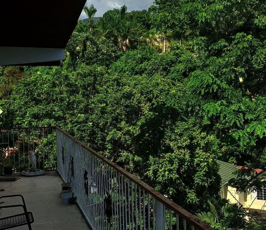 Sixth image of Montgomery, Stony Hill in STONY HILL, St. Andrew, Jamaica - property is For Sale