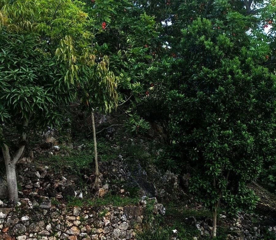 Eighth image of Montgomery, Stony Hill in STONY HILL, St. Andrew, Jamaica - property is For Sale