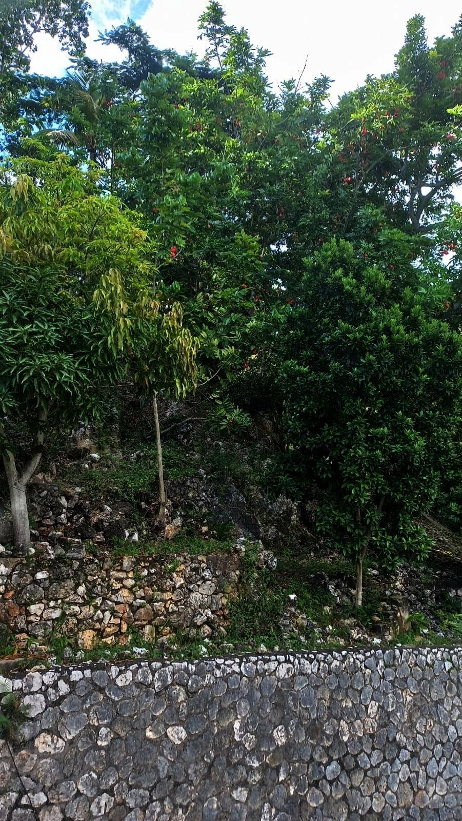 Eighth image of Montgomery, Stony Hill in STONY HILL, St. Andrew, Jamaica - property is For Sale