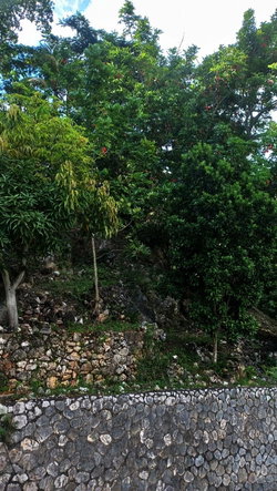Eighth image of Montgomery, Stony Hill in STONY HILL, St. Andrew, Jamaica - property is For Sale