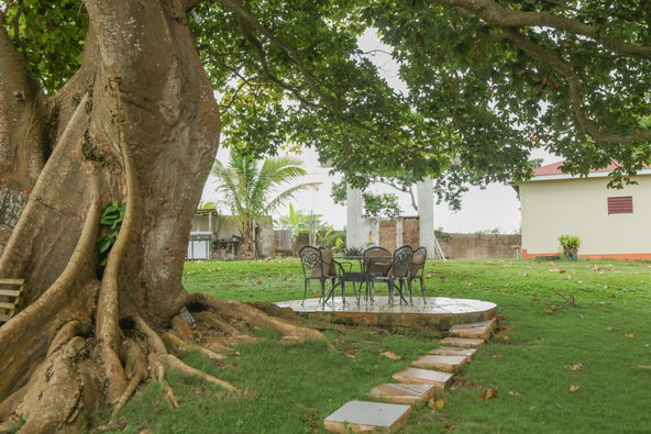 Fourteenth image of Discovery Bay in Discovery Bay, St. Ann, Jamaica - property is For Sale