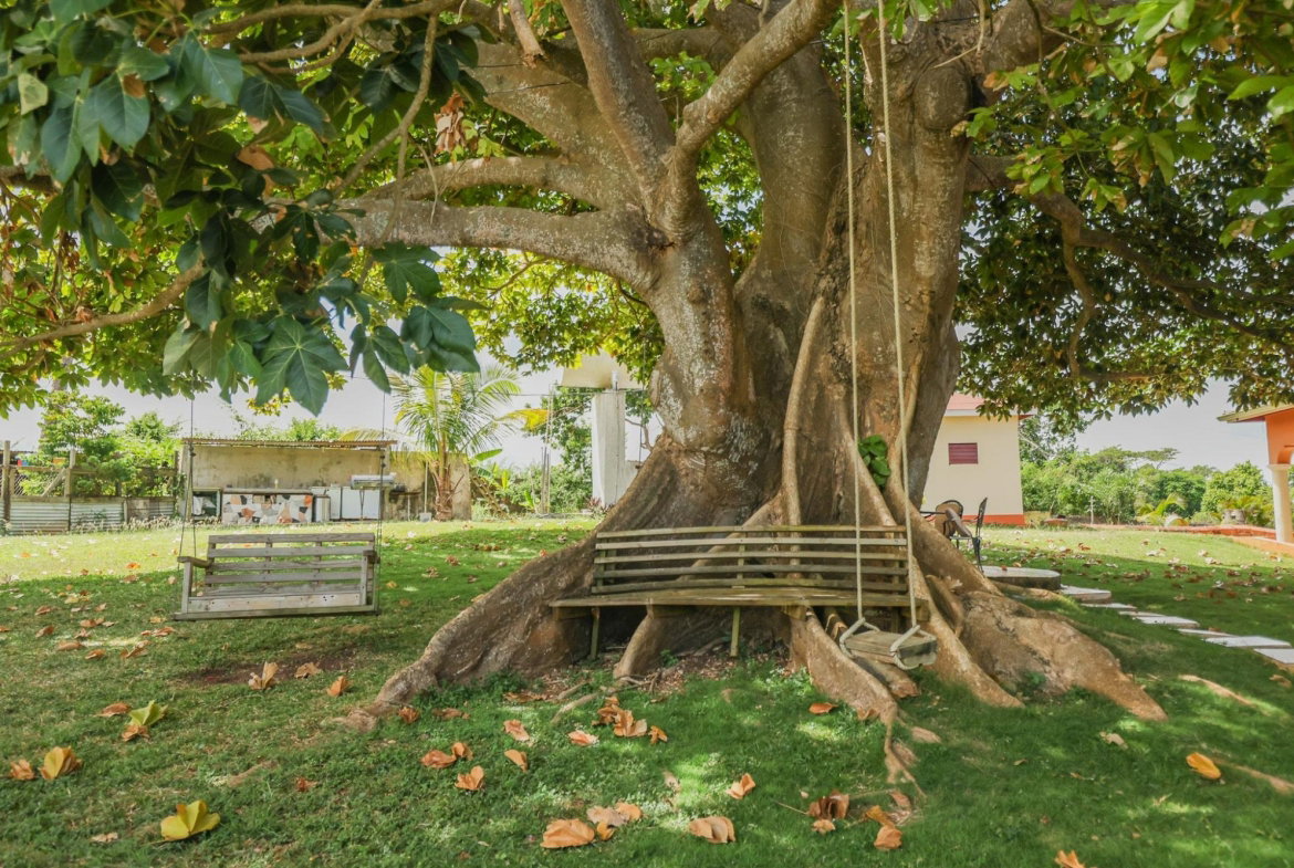 Eighteenth image of Discovery Bay in Discovery Bay, St. Ann, Jamaica - property is For Sale