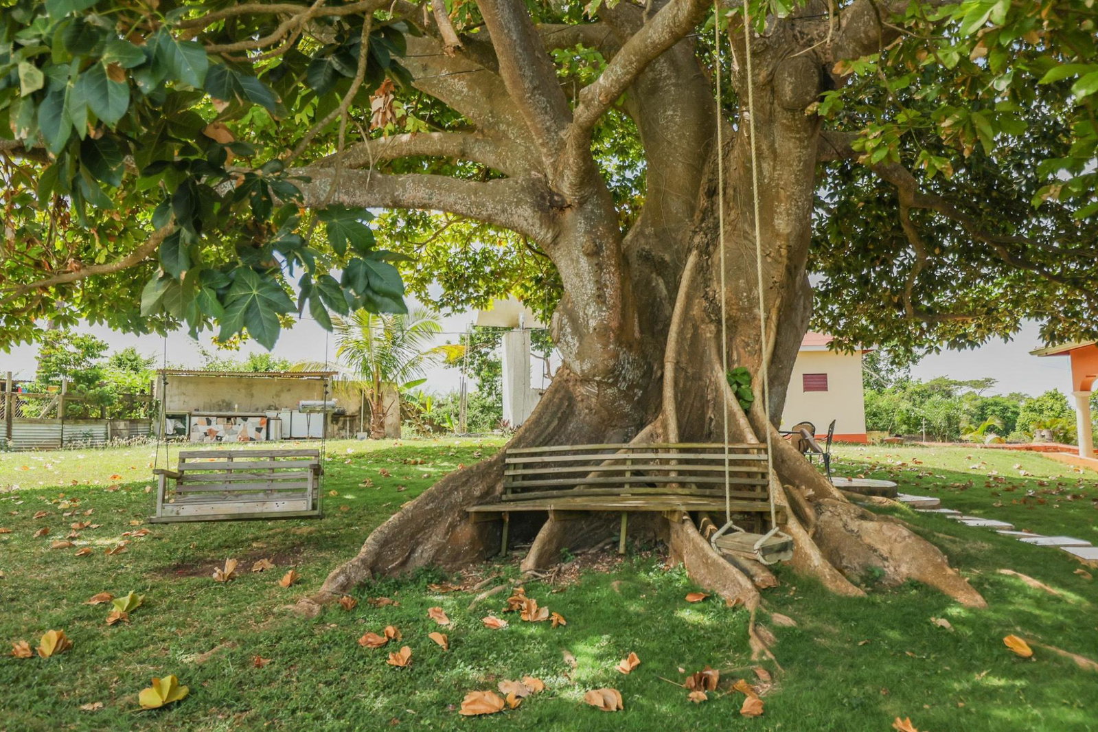 Eighteenth image of Discovery Bay in Discovery Bay, St. Ann, Jamaica - property is For Sale