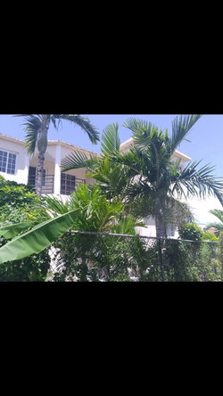 Ninth image of Lot 146- Seacrest, Discovery Bay, in Discovery Bay, St. Ann, Jamaica - property is For Sale