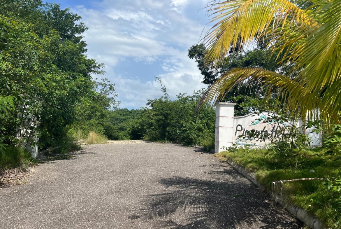 First image of Lot 4 Pedro Pen in Pedro Pen, Hanover, Jamaica - property is For Sale