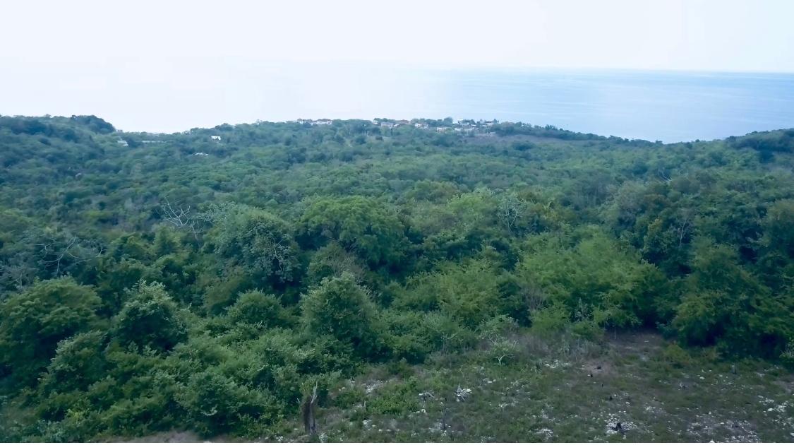 Third image of Lot 4 Pedro Pen in Pedro Pen, Hanover, Jamaica - property is For Sale