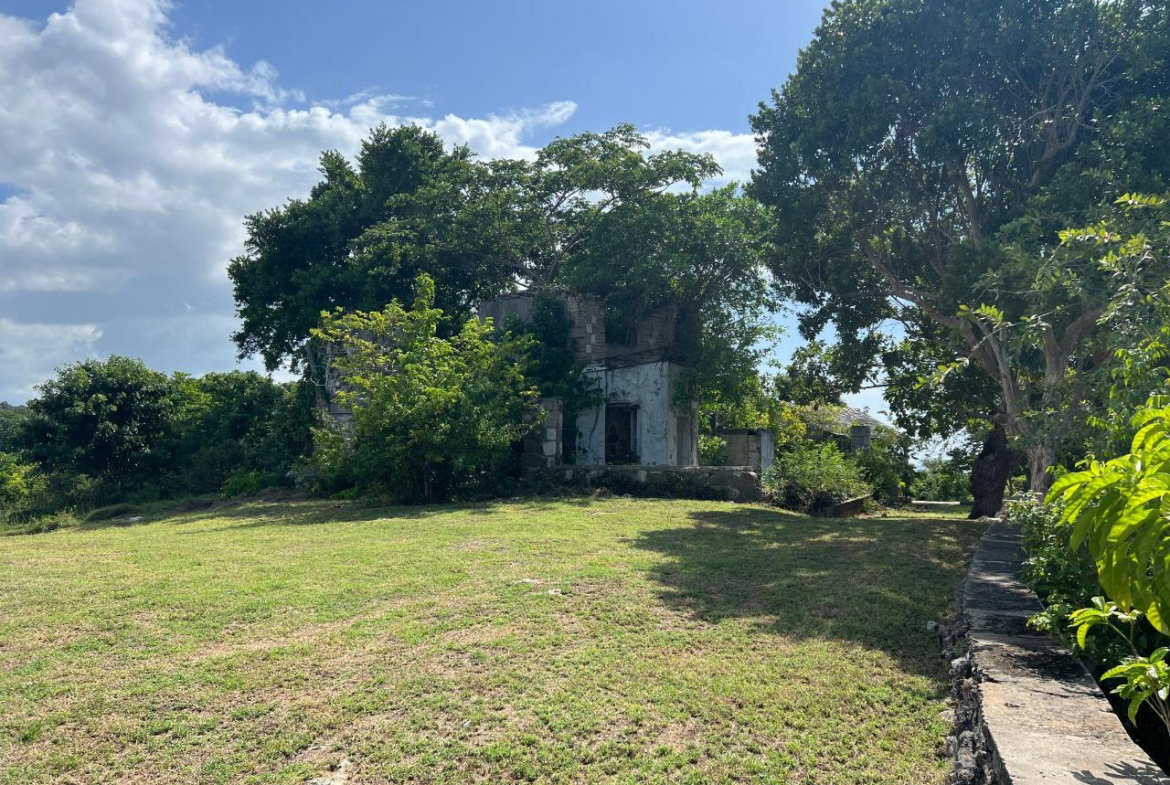 Fourth image of Lot 4 Pedro Pen in Pedro Pen, Hanover, Jamaica - property is For Sale