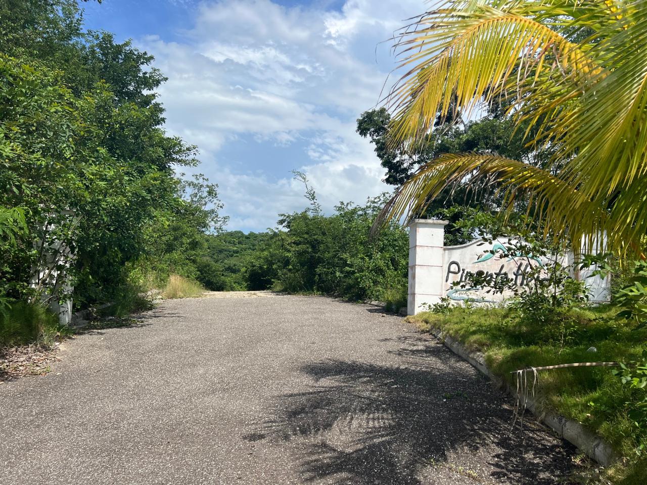 First image of Lot 4 Pedro Pen in Pedro Pen, Hanover, Jamaica - property is For Sale