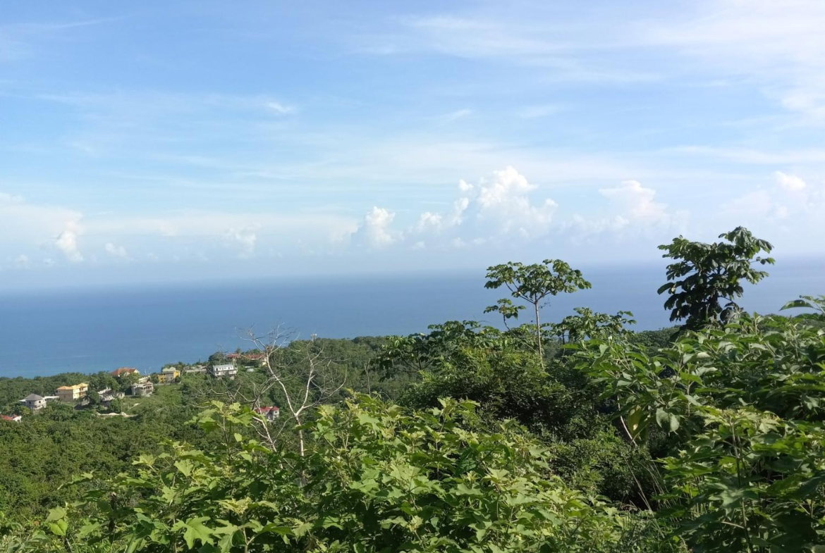 Second image of 7- Friendship Grove in Hopewell, Hanover, Jamaica - property is For Sale