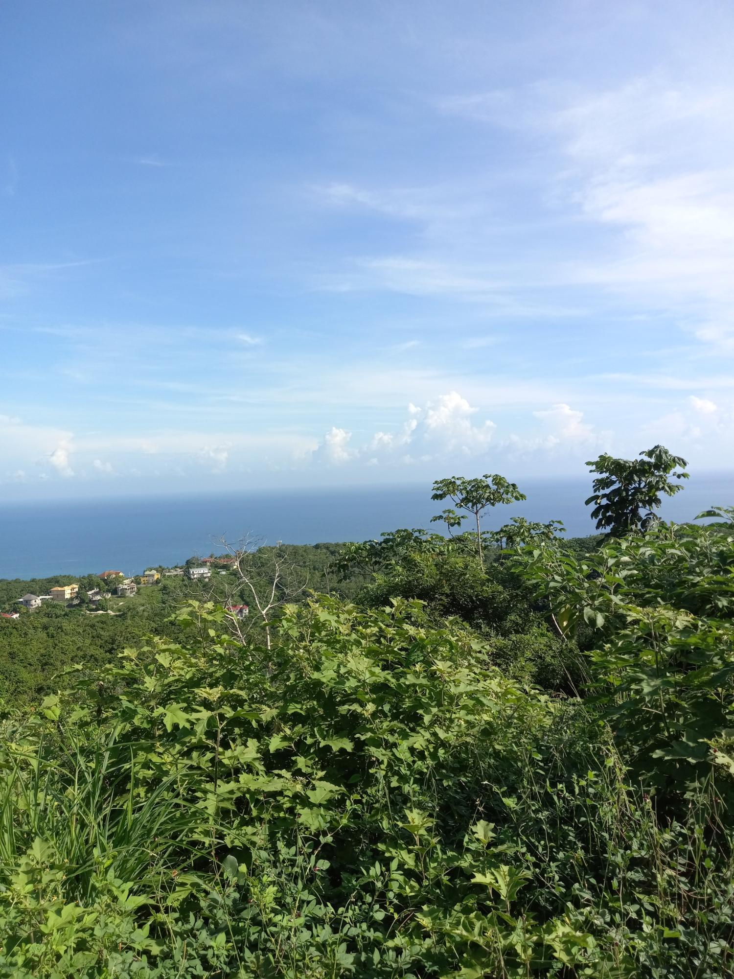 Second image of 7- Friendship Grove in Hopewell, Hanover, Jamaica - property is For Sale