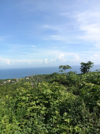 Second image of 7- Friendship Grove in Hopewell, Hanover, Jamaica - property is For Sale