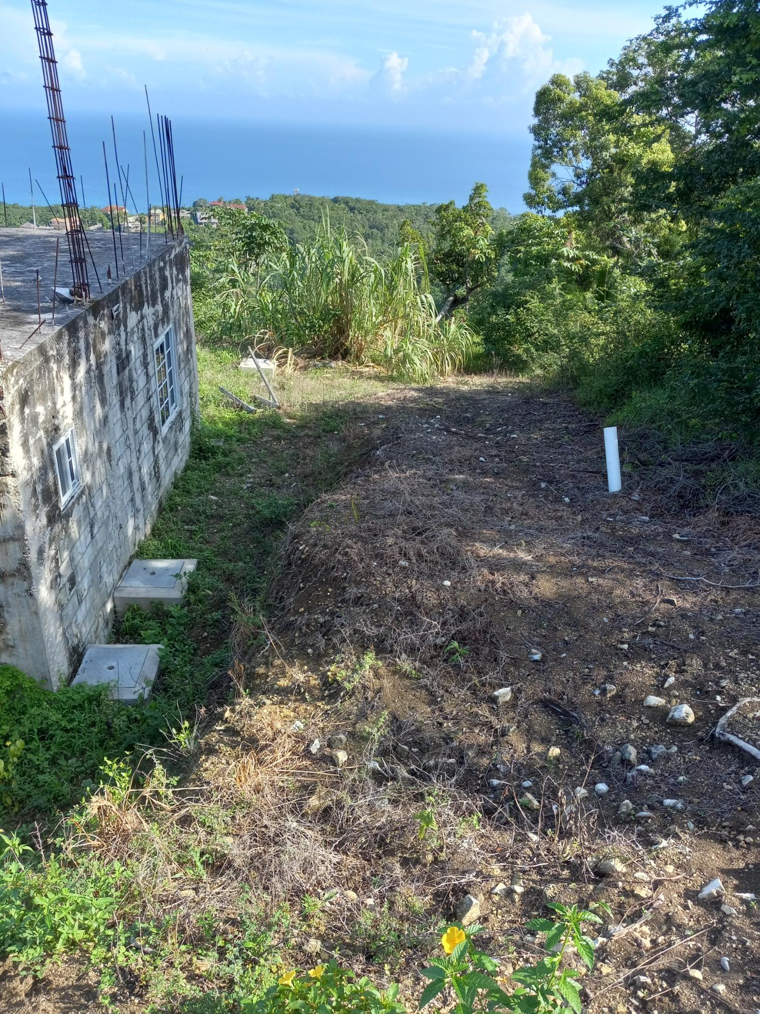 Seventh image of 7- Friendship Grove in Hopewell, Hanover, Jamaica - property is For Sale