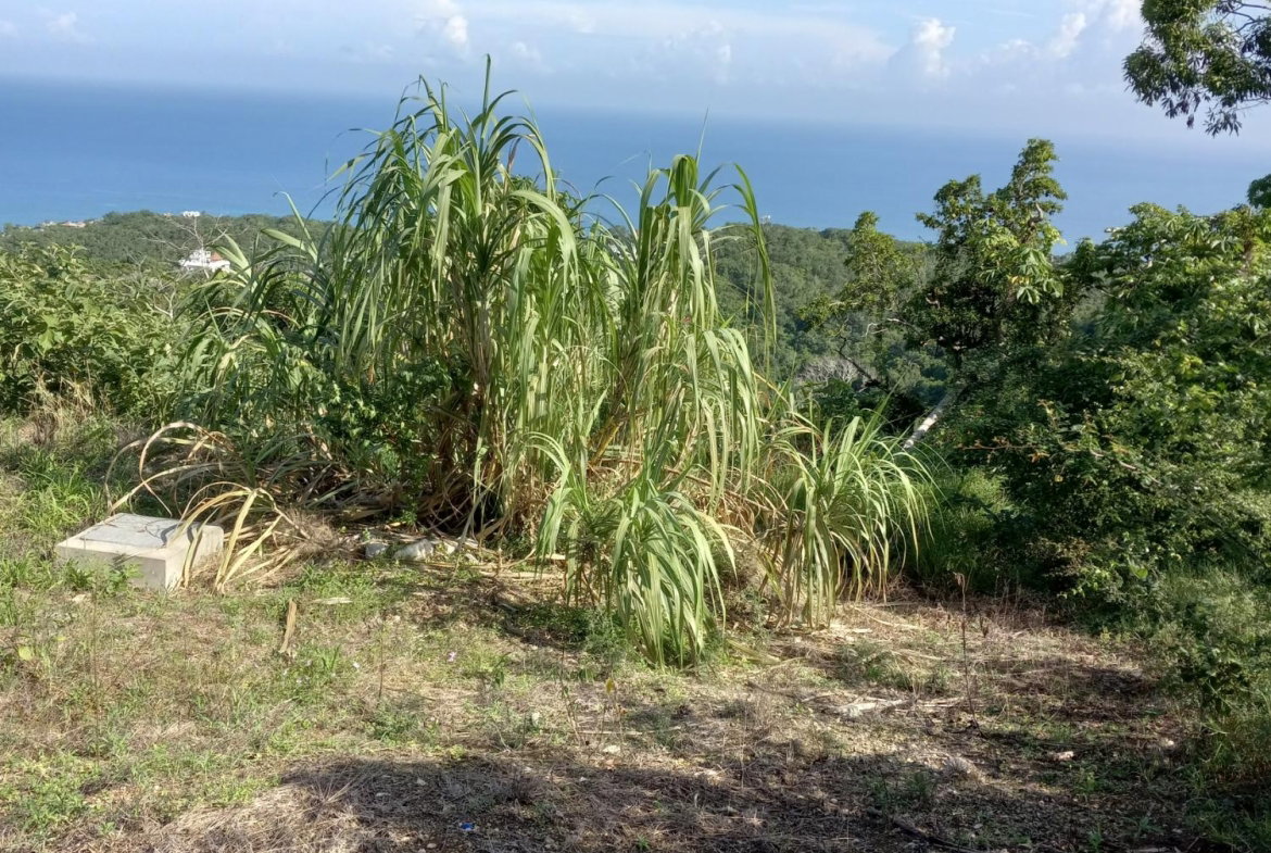 Eighth image of 7- Friendship Grove in Hopewell, Hanover, Jamaica - property is For Sale