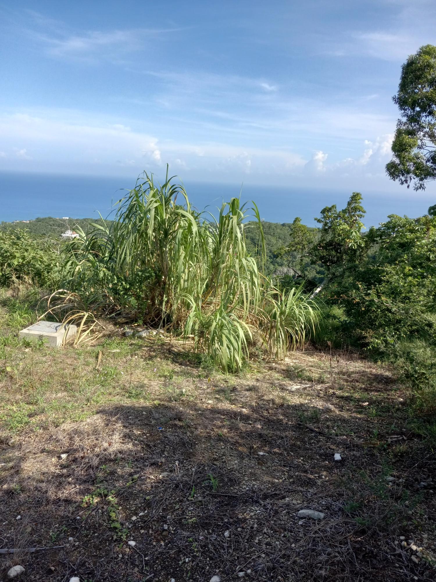 Eighth image of 7- Friendship Grove in Hopewell, Hanover, Jamaica - property is For Sale