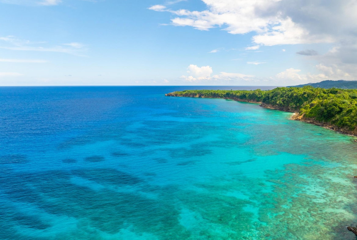 Twenty-First image of Black Rock in PRIESTMAN RIVER, Portland, Jamaica - property is For Sale