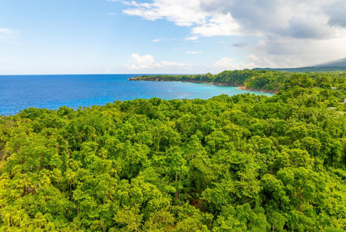 Fourth image of Black Rock in PRIESTMAN RIVER, Portland, Jamaica - property is For Sale